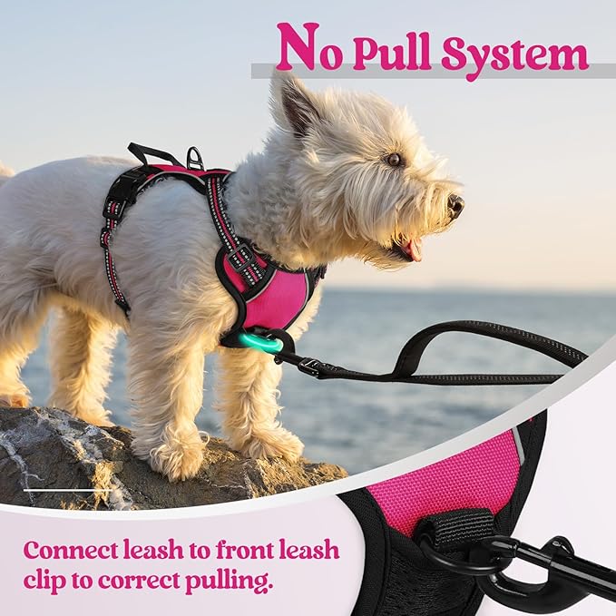 rabbitgoo Dog Harness, No-Pull Pet Harness with 2 Leash Clips, Adjustable Soft Padded Dog Vest, Reflective No-Choke Pet Oxford Vest with Easy Control Handle for Small Dogs, Hot Pink, XS