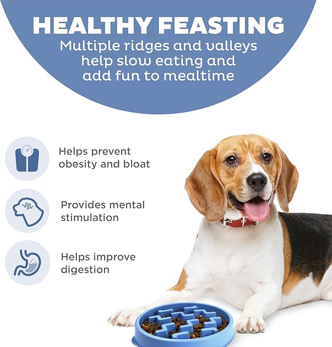 Outward Hound Fun Feeder Slo Bowl, Medium Slow Feeder Dog Bowl, 2 Cups, Blue