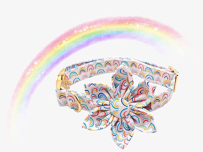 Uniqe Style Paws Flower Dog Collar, Adjustable Dog Collar with Flower, Durable Rainbow Floral Pattern Pet Collar for X-Large Dogs