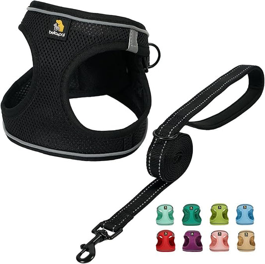 BELLA & PAL Puppy Harness with Leash Set, Dog Harness for Small Dogs No Pull, Dog Leash for Small Dogs, Step in Harness for Extra Small Dogs, Black Harness, L