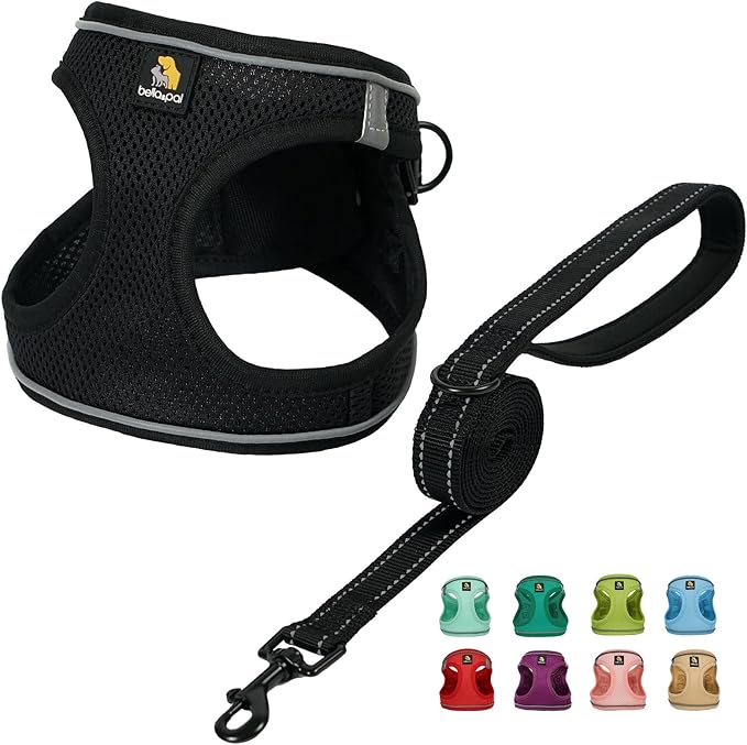BELLA & PAL Puppy Harness with Leash Set, Dog Harness for Small Dogs No Pull, Dog Leash for Small Dogs, Step in Harness for Extra Small Dogs, Black Harness, XS