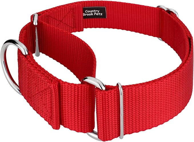 Country Brook Petz 1 1/2 Inch Martingale Heavy Duty Nylon Adjustable Dog Collar for Small, Medium, Large Breeds - Vibrant 17 Color Selection (Red, Medium)