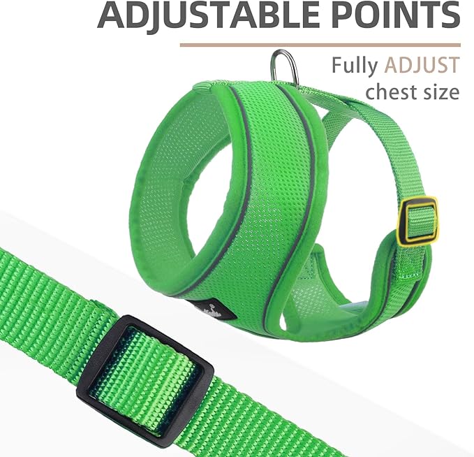 PUPTECK Soft Mesh Dog Harness and Leash Set Pet Puppy Cat Comfort Padded Vest No Pull Harnesses, Solid Green, S