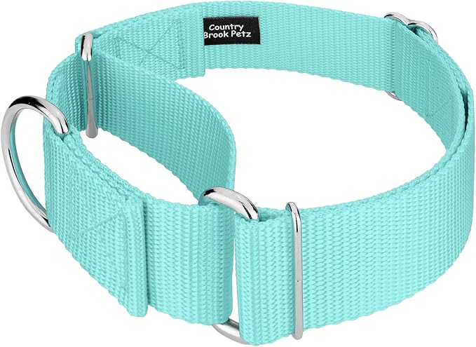Country Brook Petz 1 1/2 Inch Martingale Heavy Duty Nylon Adjustable Dog Collar for Small, Medium, Large Breeds - Vibrant 17 Color Selection (Light Cyan, Medium)
