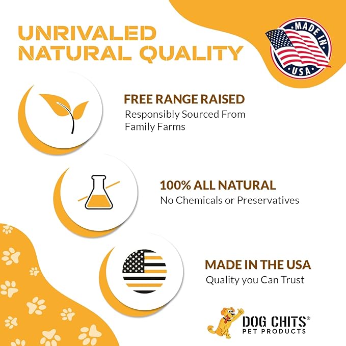 Dog Chits Cow Ears Dog and Puppy Treats - All Natural Grain and Chemical Free Training Chews - High Protein and Low Fat - Supports Dental Health - Made in The USA - 10 Count