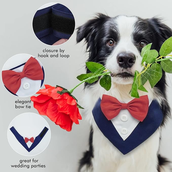 FUAMEY Dog Tuxedo - Formal Dog Wedding Collar with Bow Tie, Party Tux for Small to Large Pets, Blue