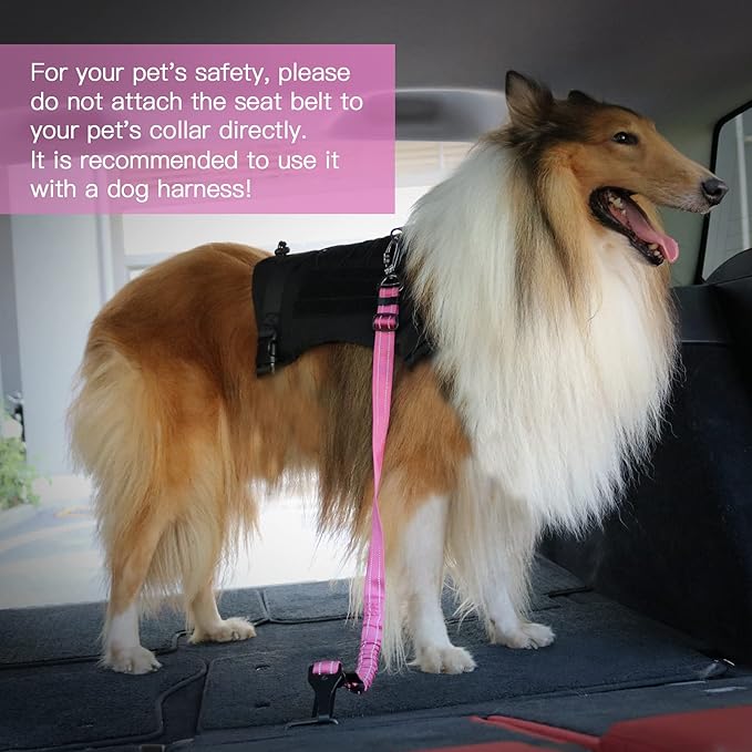AUBELL Dog Seatbelt, Updated 3-in-1 Pet Car Seat Belt for Dogs, Bungee Dog Car Tether with Clip Hook Latch & Buckle, Heavy Duty Dog Car Harness with Swivel Aluminum Carabiner,Black+Hotpink