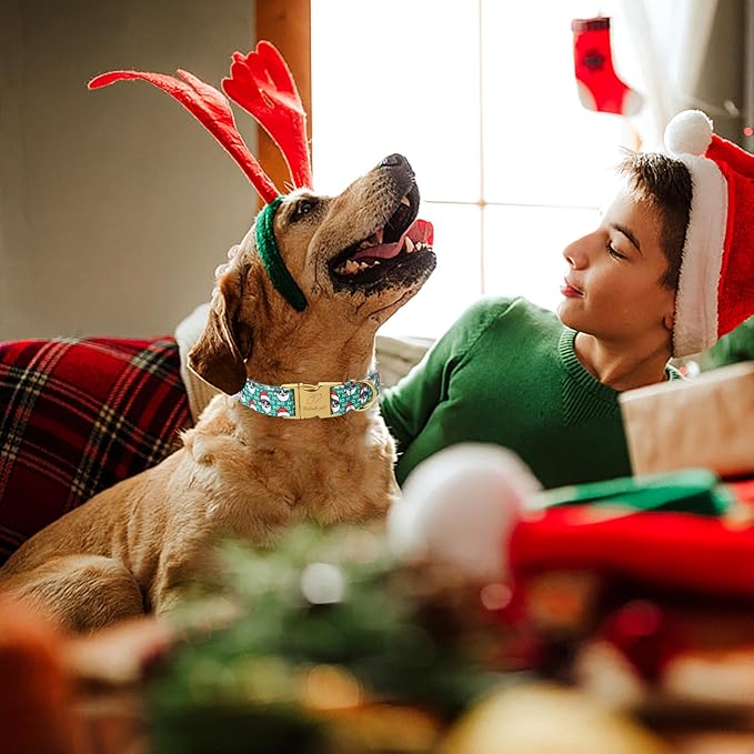 Christmas Dog Collars for Medium Dog,Green Santa Claus Dog Collar with Safety Metal Buckle Adjustable Puppy Collars for Small Large Dog,Boy&Girl&Male&Female Dog Gift,M-13.5"-22"