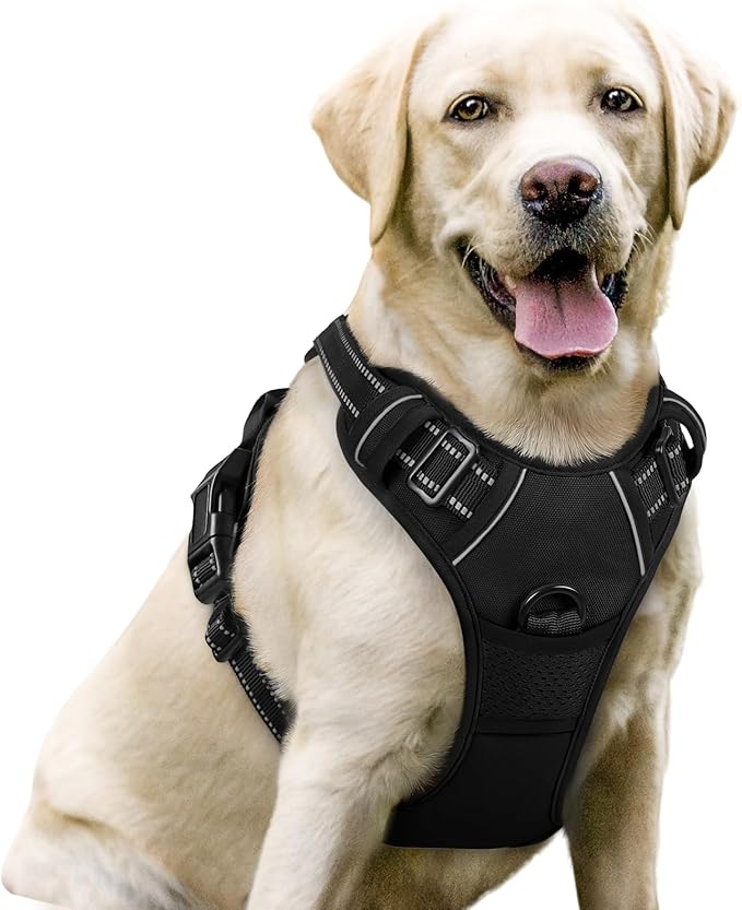 rabbitgoo Dog Harness, No-Pull Pet Harness with 2 Leash Clips, Adjustable Soft Padded Dog Vest, Reflective No-Choke Pet Oxford Vest with Easy Control Handle for Large Dogs, Black, L