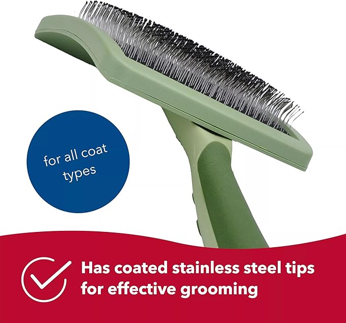 Coastal Dog Slicker Brush, Green - Grooming Brush for Dogs of All Hair Types, Pet Brush for Shedding - Curved Design for Easy Detangling - Non-Slip Handle, 6.75'' x 4.25''