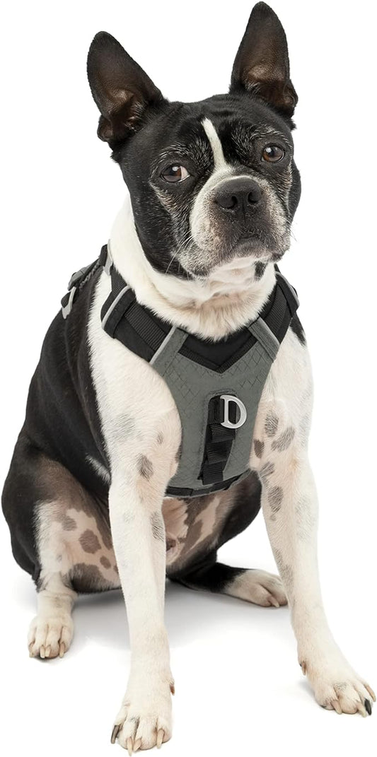 Kurgo Journey Air Dog Harness, Vest Harnesses for Dogs, Pet Hiking Harness for Running & Walking, Reflective, Padded, Includes Control Handle, No Pull Front Clip (Black, X-Small)