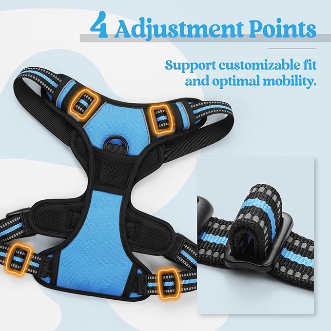 rabbitgoo Dog Harness, No-Pull Pet Harness with 2 Leash Clips, Adjustable Soft Padded Dog Vest, Reflective No-Choke Pet Oxford Vest with Easy Control Handle for Small Dogs, Blue, S