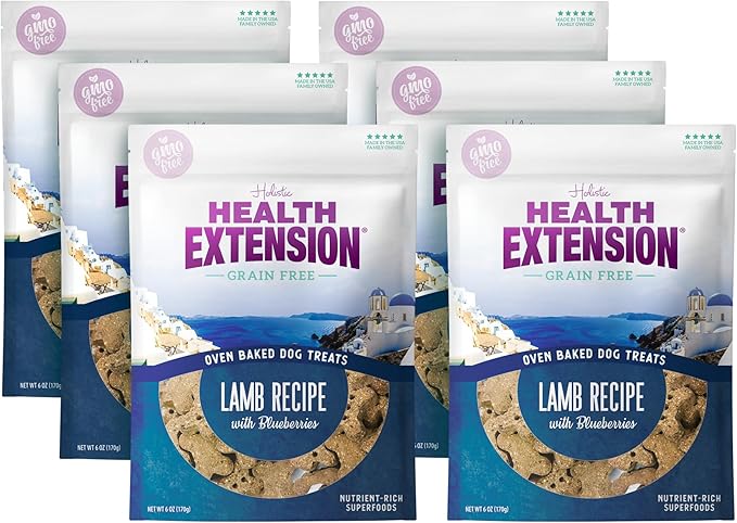Health Extension Oven-Baked Dog Treats, 6oz (170g), Lamb & Blueberry Recipe – Gluten & Grain-Free, Superfood-Infused, Crunchy Biscuits for Puppy Training (Pack of 6)