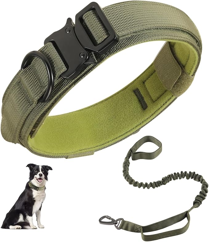 Tactical Dog Collar and Leash Set, Adjustable Military Nylon Dog Bungee Leash and Collar with Handle and Heavy Metal Buckle, Dog Training Collar Leash Set for Medium Large Dog (L, Green)