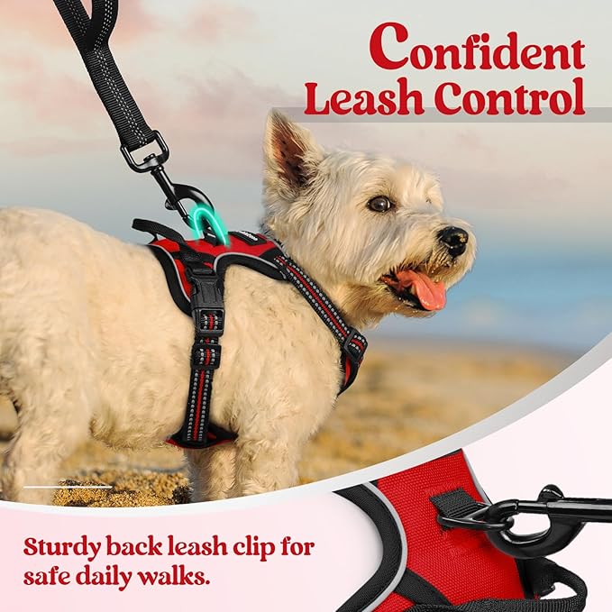 rabbitgoo Dog Harness, No-Pull Pet Harness with 2 Leash Clips, Adjustable Soft Padded Dog Vest, Reflective No-Choke Pet Oxford Vest with Easy Control Handle for Small Dogs, Red,XS