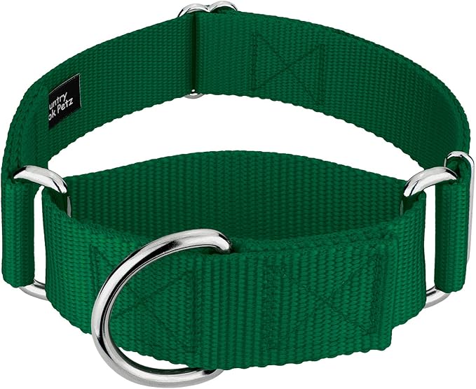 Country Brook Petz 1 1/2 Inch Martingale Heavy Duty Nylon Adjustable Dog Collar for Small, Medium, Large Breeds - Vibrant 17 Color Selection (Green, Medium)