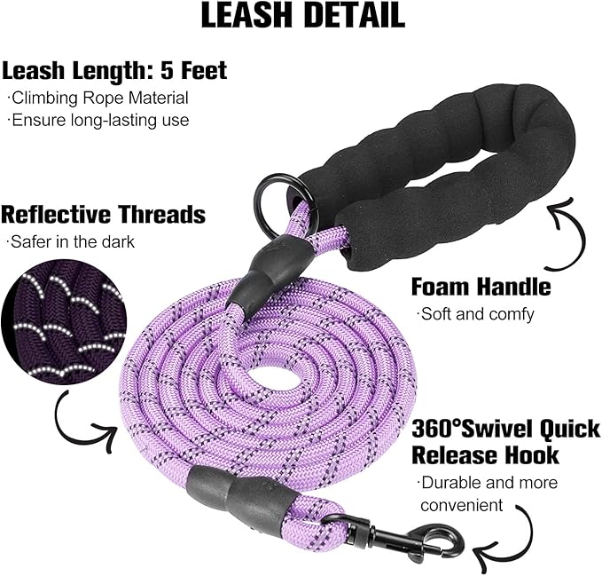 BEAUTYZOO Dog Harness and Leash Set for Small Dogs,No Pull Step-in Harness for Puppy XS S Sized Dogs and Cats,Air Mesh Adjustable Breathable Soft No Chock Escape Proof Vest Harness,Striped Purple XXS