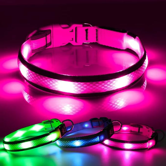 BSEEN Light Up Dog Collar - Glow in The Dark LED Dog Collar Rechargeable, Reflective Puppy Collar, Dog Camping Gear Dog Collar Light for Night Walking (Medium, Pink Ⅱ)