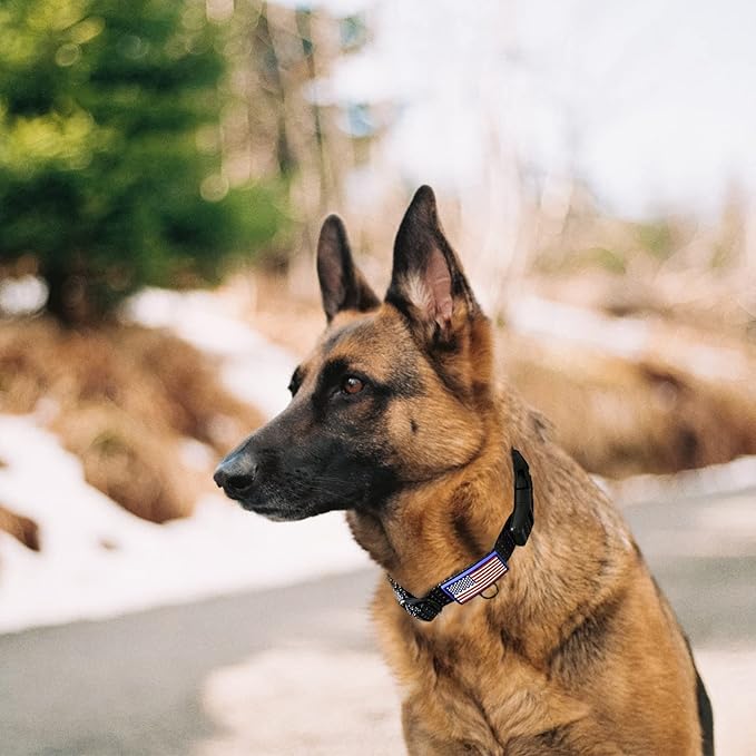 Martingale Collar for Training Dogs. Adjustable Reflective Collars with Buckle-USA Flag- NO Pull-Prevents Slipping Out, for Medium Large XL Dogs. Helps with Strong pullers (XL, Black)