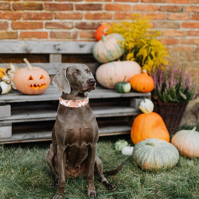Lionheart glory Dog Collar Halloween Collar Dog Fall Dog Collars, Adjustable Heavy Duty Dog Collar for X-Large Dogs Pumpkin Collar Dog