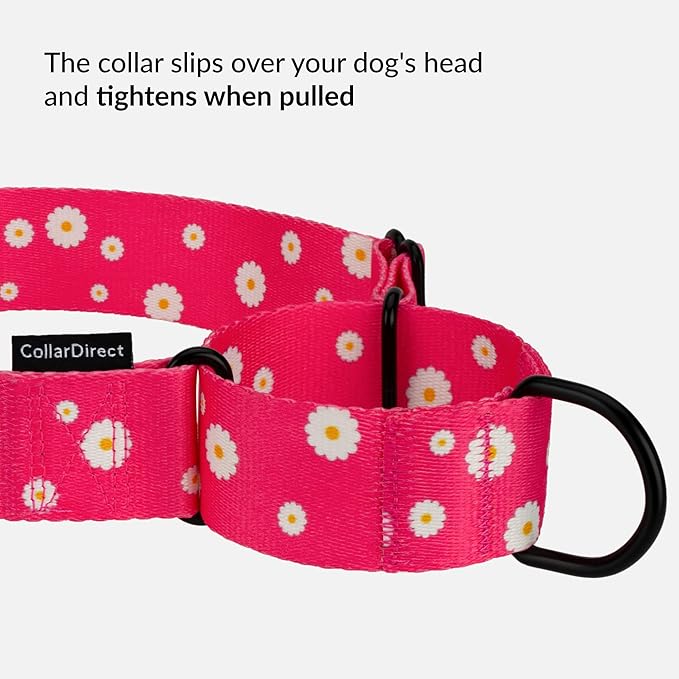 CollarDirect Martingale Collars for Dogs Heavy Duty Floral Pattern Female Safety Nylon Training Wide Collar Flower Design Large Medium (M, Neck Size 12"-17", Pink)