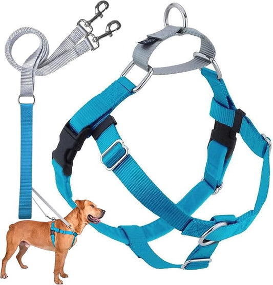 2 Hounds Design Freedom No Pull Dog Harness | Comfortable Control for Easy Walking |Adjustable Dog Harness and Leash Set | Small, Medium & Large Dogs | Made in USA | Solid Colors | 1" MD Turquoise