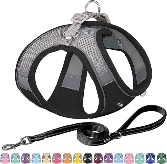 AIITLE Comfortable Dog Harness and Leash Set for Walking - Spring Step in Vest Harness,Reflective Bands, Adjustable No Pull Puppy Essentials, for Small Dogs and House Cats Black XS