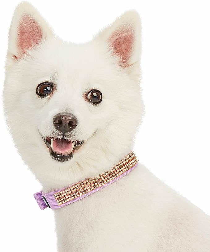 Blueberry Pet Sparkling Rhinestone Adjustable Dog Collar with Metal Buckle, Lavender, Neck 17-20.5", for Large Breed