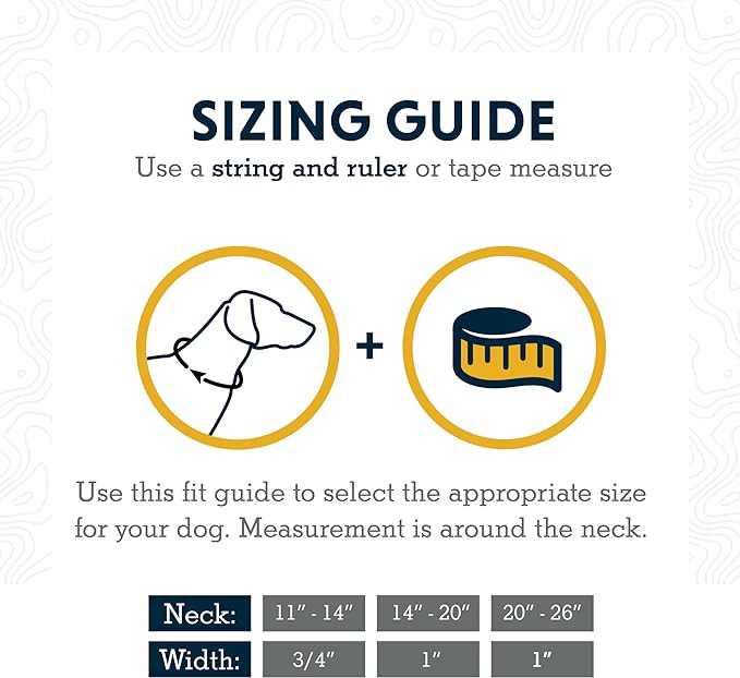 Ruffwear, Chain Reaction Dog Collar, Martingale Style for On-Leash Walking, Blue Pool, 14"-20"