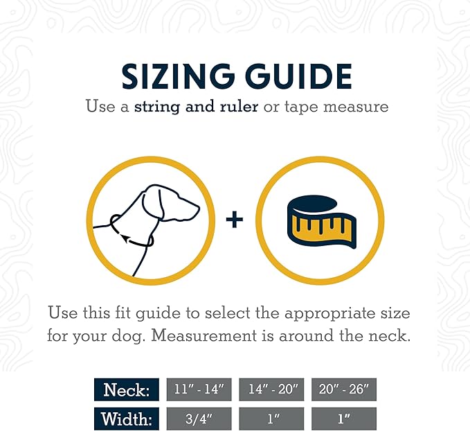 Ruffwear, Chain Reaction Dog Collar, Martingale Style for On-Leash Walking, Basalt Gray, 14"-20"