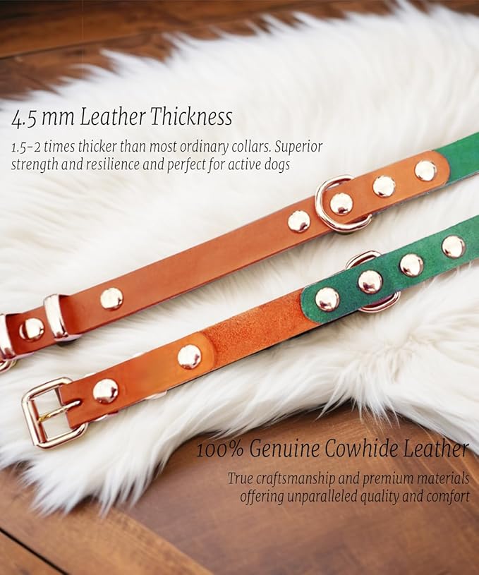 Premium Genuine Leather Dog Collar - Durable 4.5mm Thick, Color-Blocking Design with Rose Gold Hardware, Available in 4 Sizes for Small, Medium and Large Dogs, Green 19-23 in