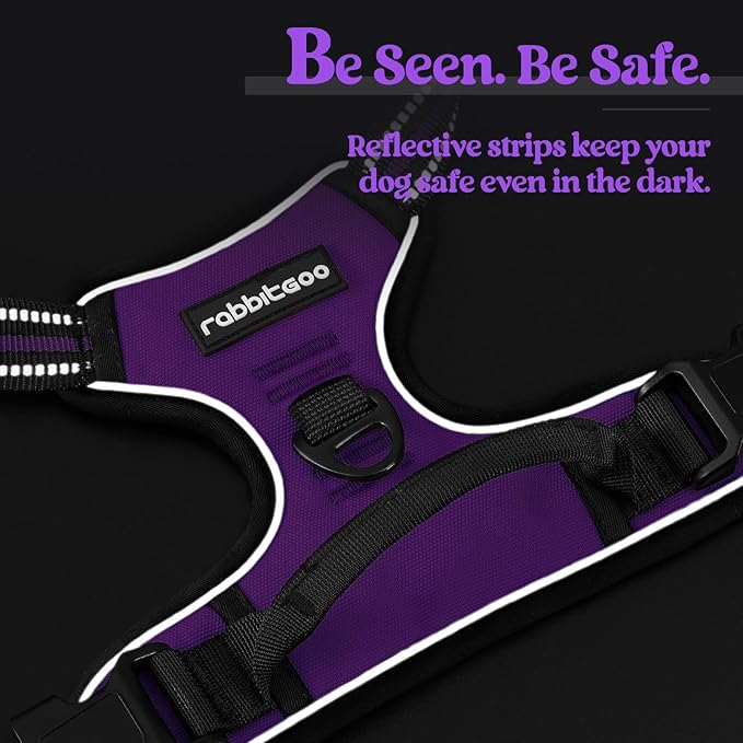 rabbitgoo Dog Harness, No-Pull Pet Harness with 2 Leash Clips, Adjustable Soft Padded Dog Vest, Reflective No-Choke Pet Oxford Vest with Easy Control Handle for Small Dogs, Purple, S