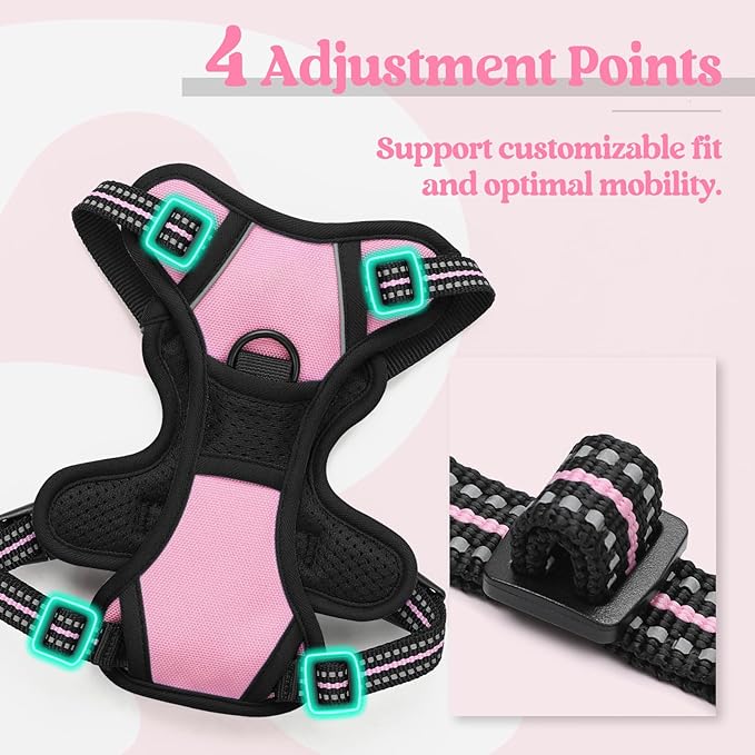 rabbitgoo Dog Harness, No-Pull Pet Harness with 2 Leash Clips, Adjustable Soft Padded Dog Vest, Reflective No-Choke Pet Oxford Vest with Easy Control Handle for Small Dogs, Pink, XS