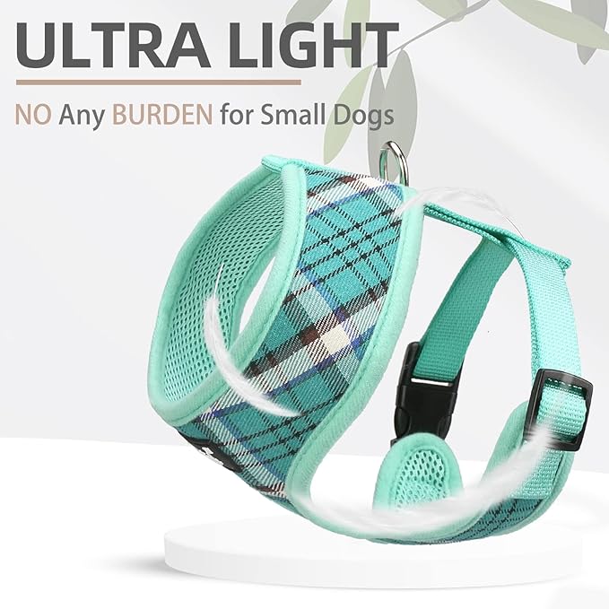 PUPTECK Soft Mesh Dog Harness and Leash Set Pet Puppy Cat Comfort Padded Vest No Pull Harnesses, Green, M
