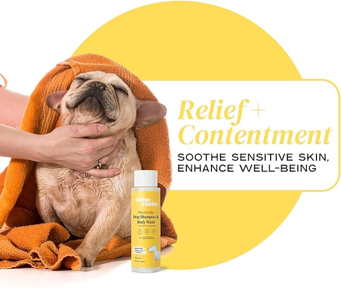 Heavenly Dog Shampoo & Body Wash - Anti-Itch - Dog Shampoos - pH Balanced Conditioning Dog Bath Blend with Collagen, Aloe, Coconut Milk, Vitamin E - Soothe Itchy Skin & Coat - 13.5oz