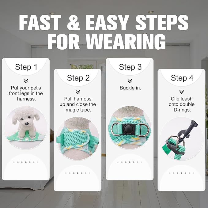 BEAUTYZOO Dog Harness and Leash Set for Small Medium Dogs,No Pull Step-in Harness for Puppy S M Sized Dogs and Cats,Air Mesh Adjustable Breathable Soft No Chock Escape Proof Vest Harnesses,Green XS