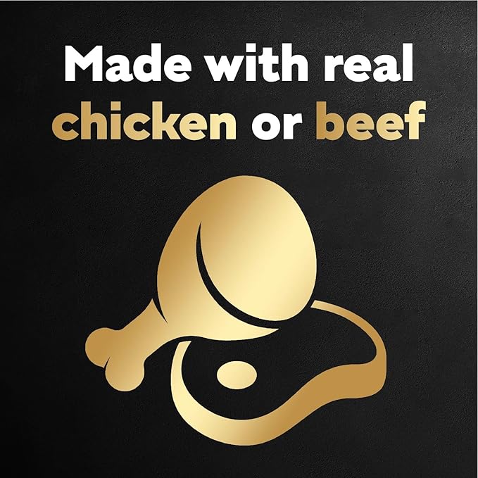 Cesar Filets in Gravy Wet Dog Food Filet Mignon Flavor and Rotisserie Chicken Flavor Variety Pack, 1.76 oz. Mini-Pouches, 20 Pack (Pack of 2)