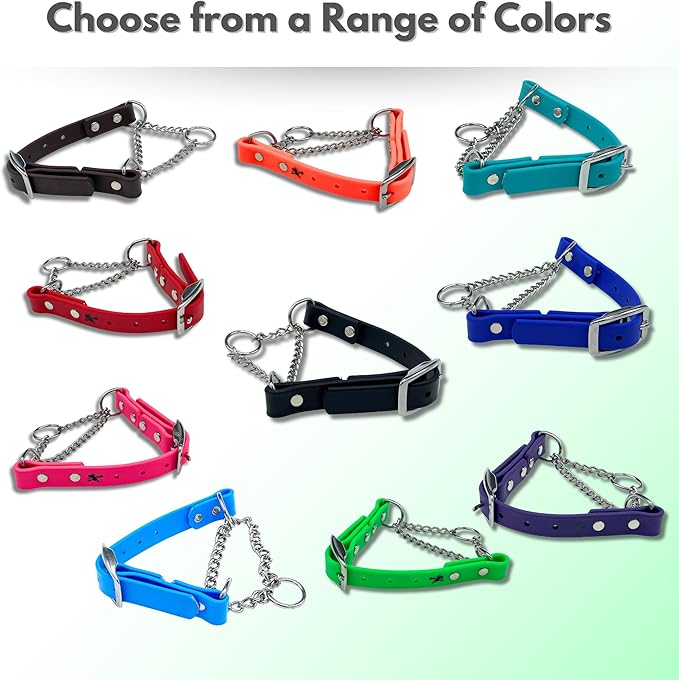 Martingale Collar for Dogs, Biothane, Stainless Steel Hardware, No Pull, Made in The USA, Professional Grade, XS, Pink