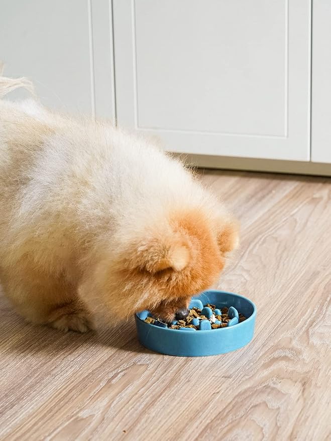 LE TAUCI Ceramic Slow Feeder Dog Bowls Small Breed, 0.6 Cups Dog Food Dish for Fast Eaters, Puzzle Bowl for Small Dogs and Cats,Blue