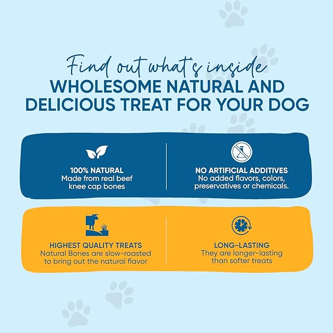 Dog Bone Knee Caps - 100% Natural & Long Lasting Beef Chews Beef Chew Treats for Pets - Ideal for Small to Large Dogs (30 Count - Made in USA)