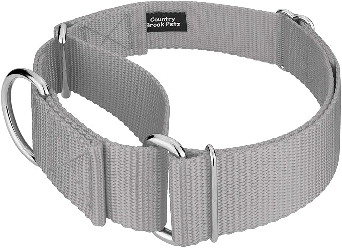Country Brook Petz 1 1/2 Inch Martingale Heavy Duty Nylon Adjustable Dog Collar for Small, Medium, Large Breeds - Vibrant 17 Color Selection (Silver, Large)