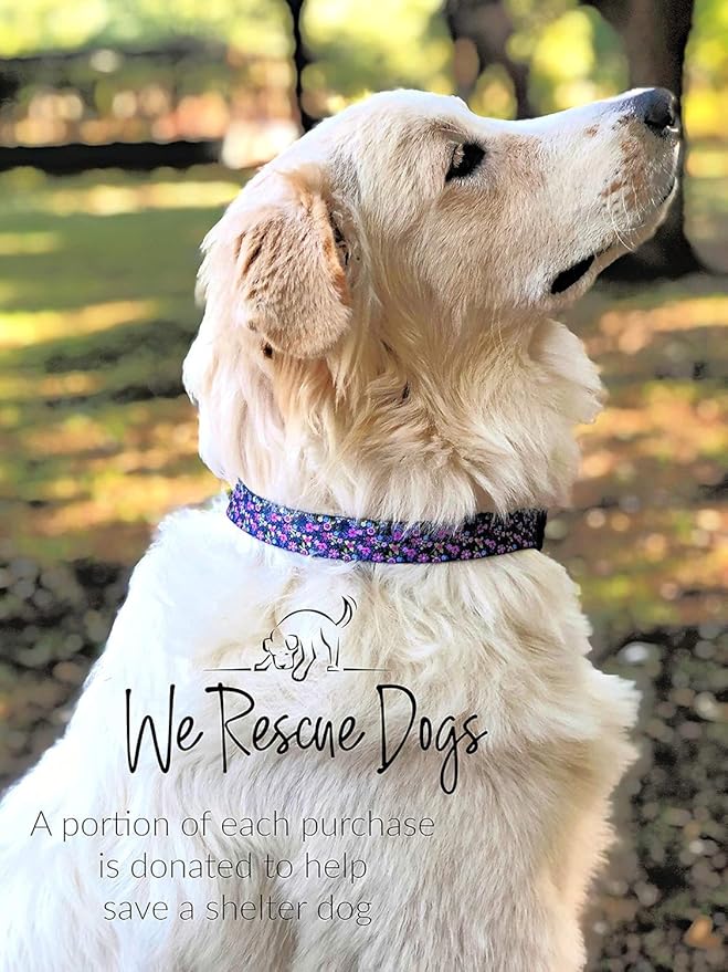 Lucky Love Dog, Comfortable, Soft, Cute Female Dog Collar for Medium Dogs, Black & Purple Floral Print, Adjustable Nylon Collar, Primrose, Medium