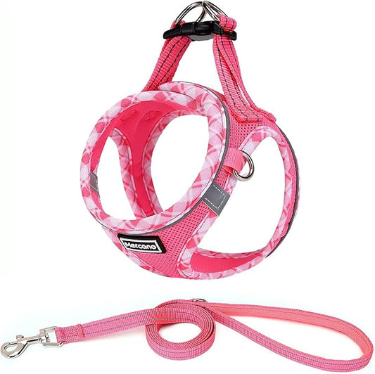 Mercano Soft Mesh Dog Harness and Leash Set, No-Chock Step-in Reflective Breathable Lightweight Easy Walk Vest Harnesses with Safety Buckle for Small Medium Dogs, Cats (M, Fuchsia)