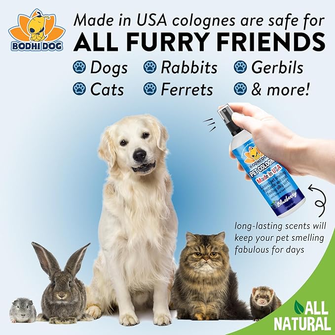 Bodhi Dog Natural Dog Cologne (Blueberry)- Premium Scented Deodorizing Pet Perfume with Conditioner for Dogs & Cats - Keeps Pets Fresh & Clean - Gentle and Safe Formula, Made in US (8 Fl Oz)