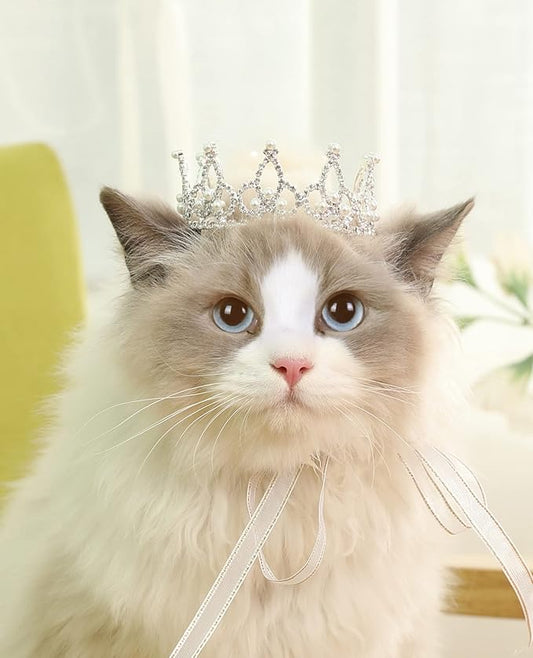 Lovelyshop Pet Series Silver Plated Royal Rhinestone Pearl Full Round Dog/Cat Crown for Rolyal Family Costume Hair Accessories-Small Size