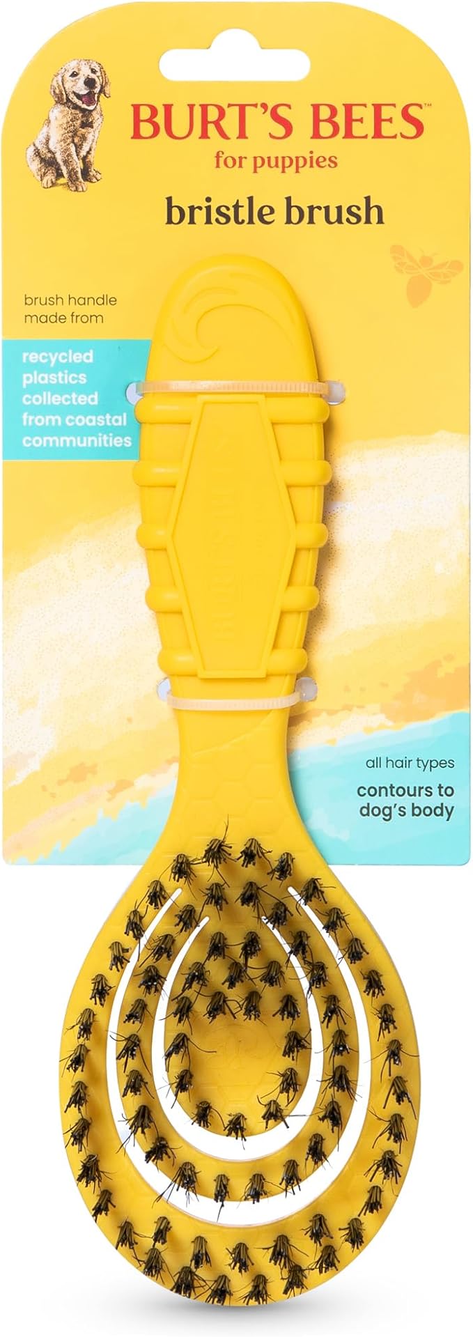 Burt's Bees for Pets Small Bristle Brush with Natural Boar’s Hair & Nylon | Handle Made from Recycled Plastics Collected from Coastal Communities | De-Shedding Eco Friendly Dog Grooming Brush