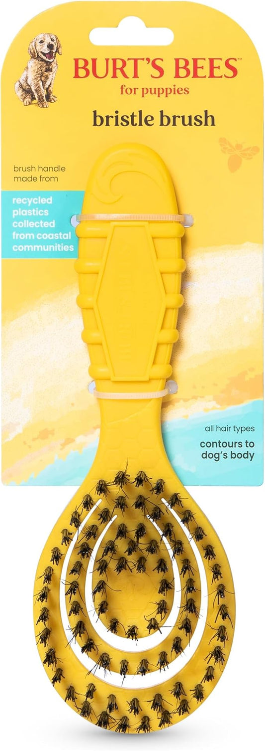 Burt's Bees for Pets Small Bristle Brush with Natural Boar’s Hair & Nylon | Handle Made from Recycled Plastics Collected from Coastal Communities | De-Shedding Eco Friendly Dog Grooming Brush
