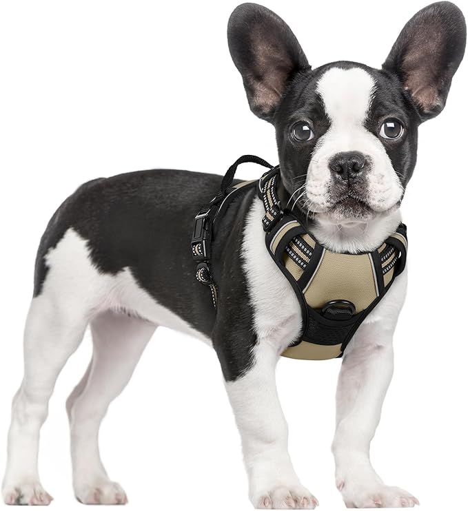 rabbitgoo Dog Harness, No-Pull Pet Harness with 2 Leash Clips, Adjustable Soft Padded Dog Vest, Reflective No-Choke Pet Oxford Vest with Easy Control Handle for Small Dogs, Beige, S