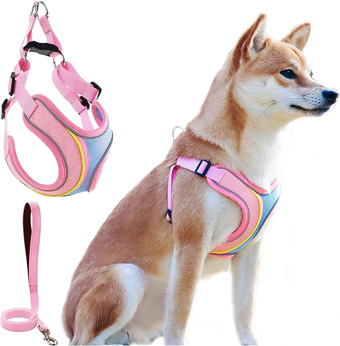 No Pull Dog Harness with Leash Set All Weather Soft Padded Mesh Reflective X Shape Adjustable Step in Vest Harness for Small and Medium Dogs Big Cat XS Pink