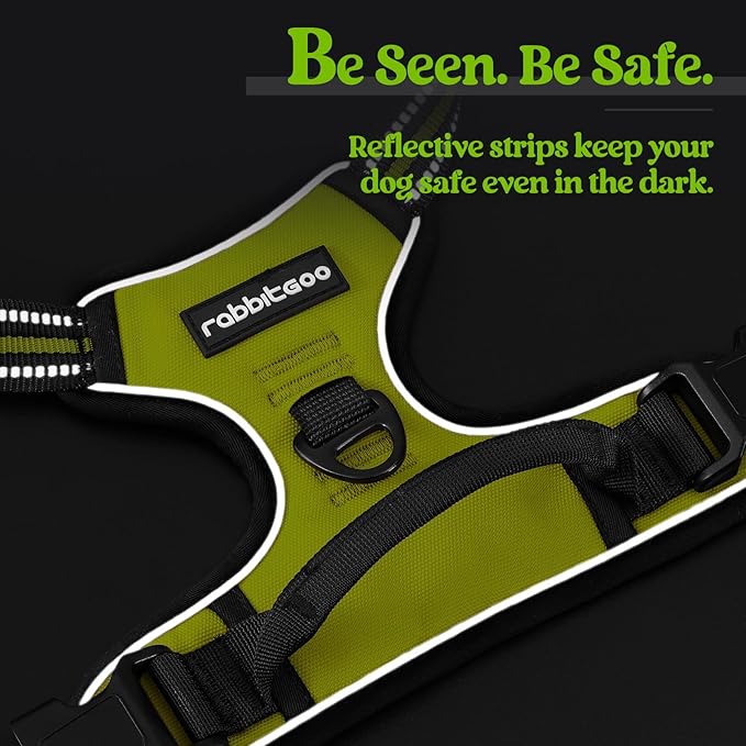 rabbitgoo Dog Harness, No-Pull Pet Harness with 2 Leash Clips, Adjustable Soft Padded Dog Vest, Reflective No-Choke Pet Oxford Vest with Easy Control Handle for Small Dogs, Wild Lime,S